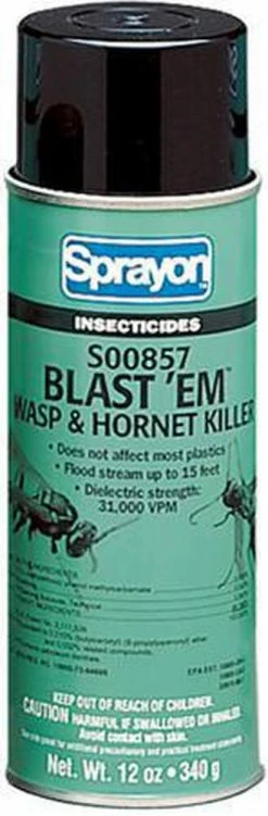 Best reviews of ✨ Krylon Blast'Em® 12 oz. Wasp & Hornet Killer 👏