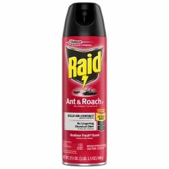 Best Pirce ❤️ Raid 17.5 oz. Ant and Roach Killer (Case of 12) 🛒